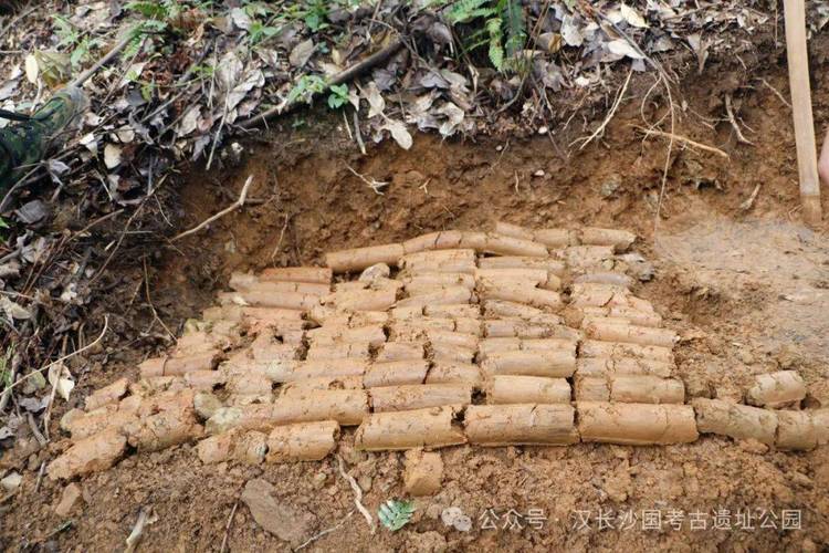 &mdash;汉长沙国考古遗址公园2024年"文化和自然遗产日